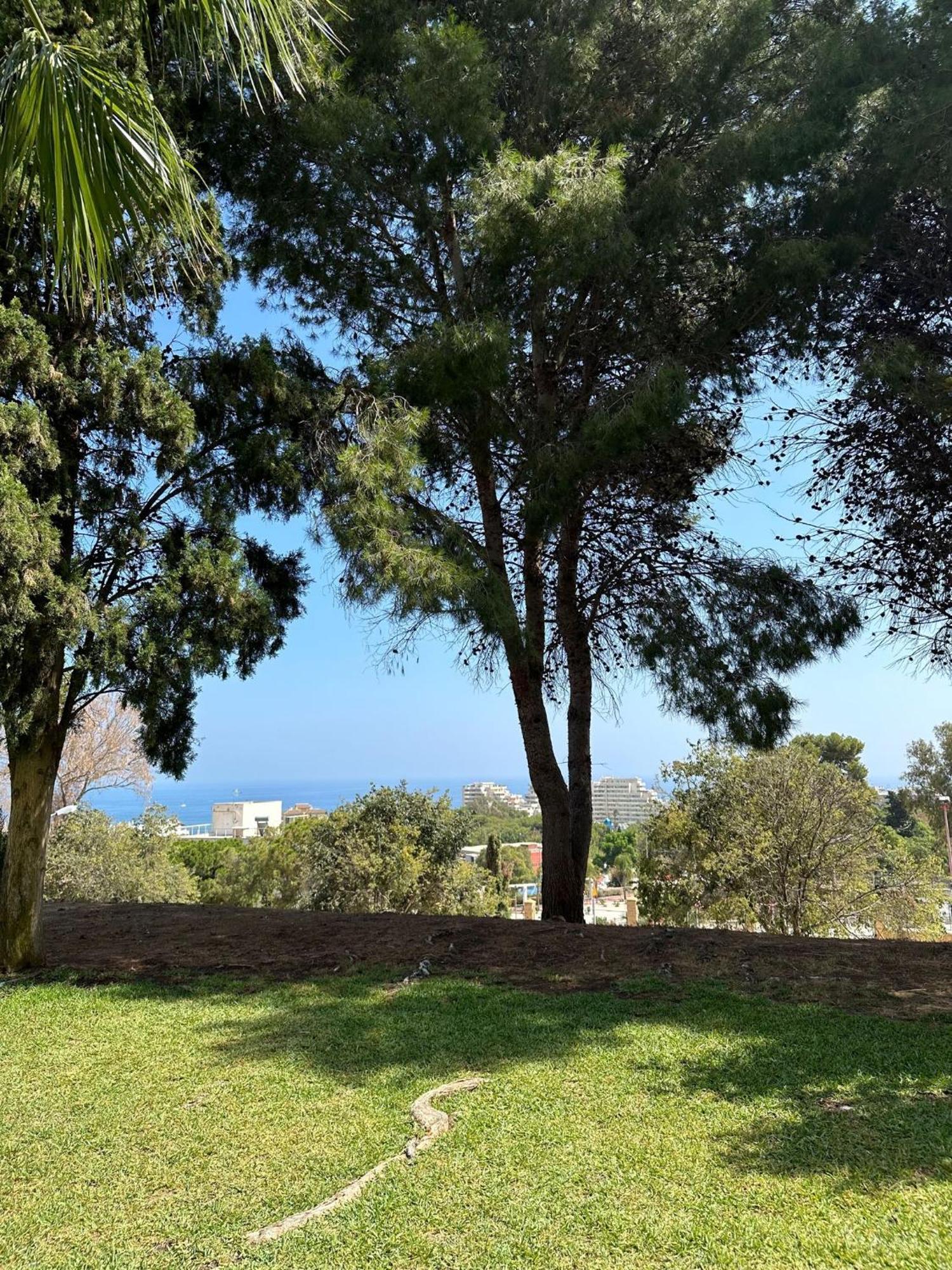 马拉加Benalmadena Gamonal公寓 外观 照片
