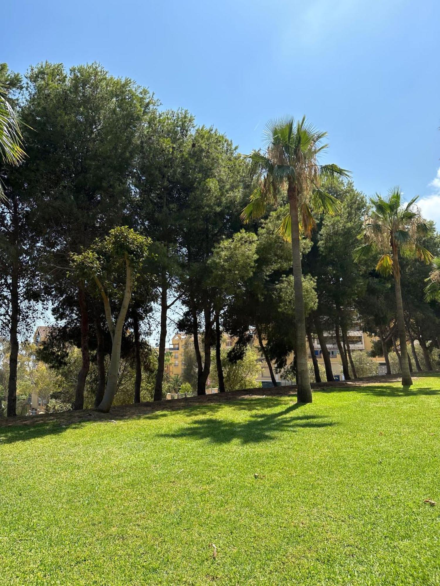 马拉加Benalmadena Gamonal公寓 外观 照片